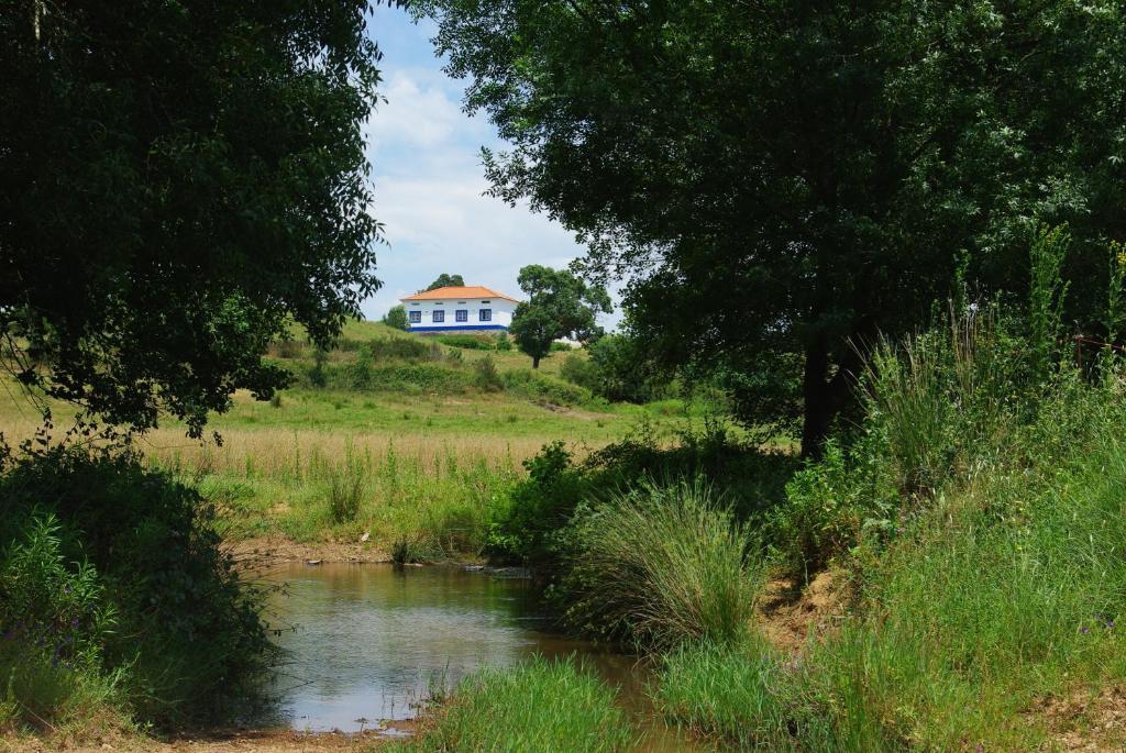 منزل الضيف أوديميرا  في Amieira Agroturismo المظهر الخارجي الصورة